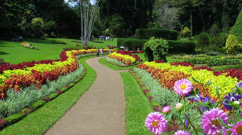 Royal Botanic Gardens, Peradeniya